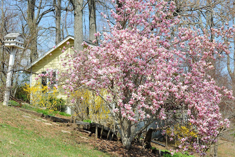 Orchard Inn Saluda Exterior photo